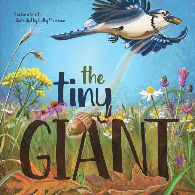 Barbara Ciletti, Barbara Ciletti - Cathy Morrison - Tiny Giant, Inbunden