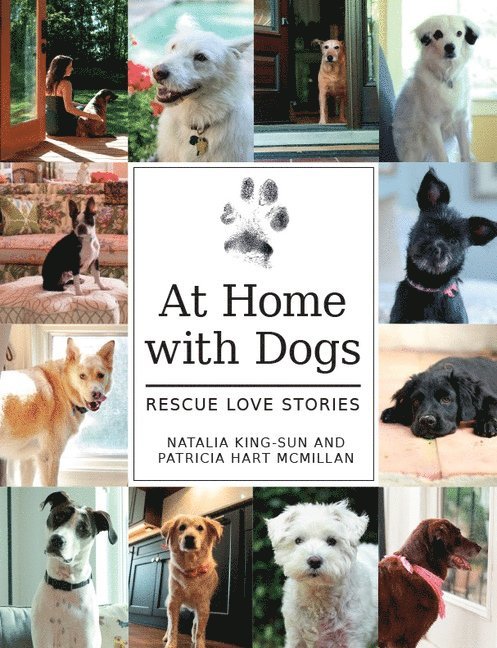 At Home with Dogs 1