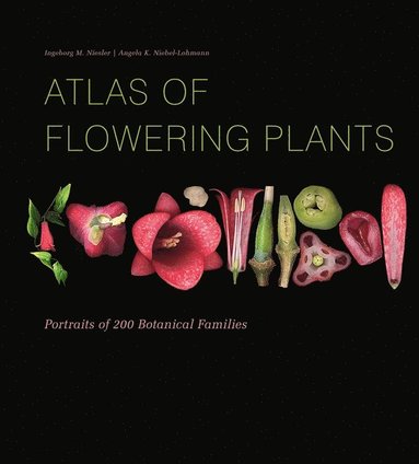 bokomslag Atlas of Flowering Plants