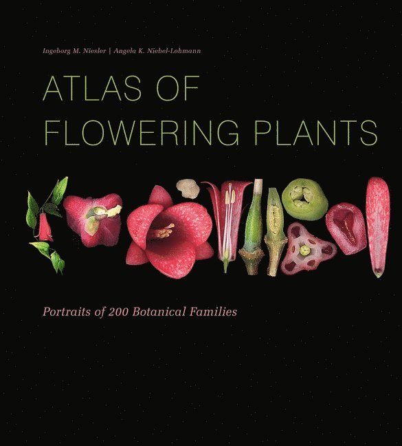 Atlas of Flowering Plants 1