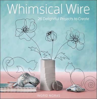 bokomslag Whimsical Wire