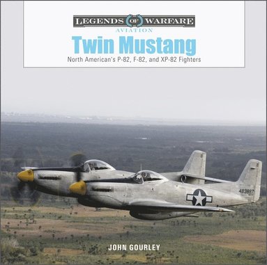 bokomslag Twin Mustang