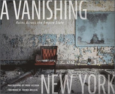 bokomslag Vanishing New York