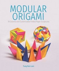 bokomslag Modular Origami