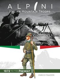 bokomslag Alpini: Italian Mountain Troops