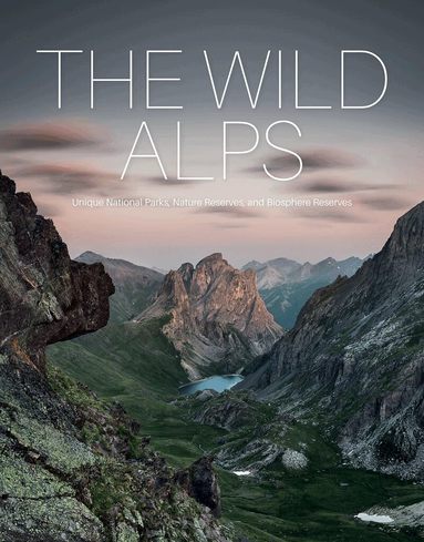 Martin Rasper, Dr. Gotlind Blechschmidt, Katinka Holupirek - Wild Alps, Inbunden