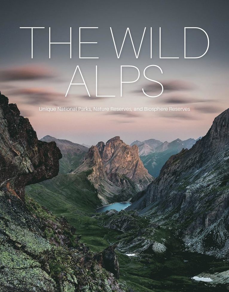 Martin Rasper, Dr. Gotlind Blechschmidt, Katinka Holupirek, Gotlind Blechschmidt, Katinka Holupirek - Martin Rasper - Dr. Gotlind Blechschmidt, Blechschmidt - Wild Alps, Inbunden