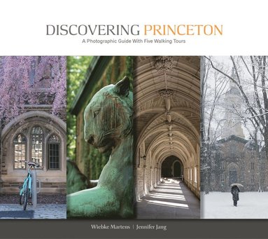 bokomslag Discovering Princeton