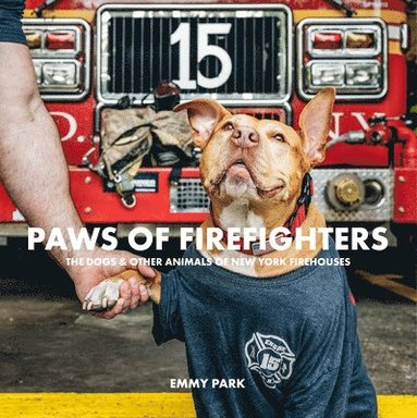 bokomslag Paws of Firefighters