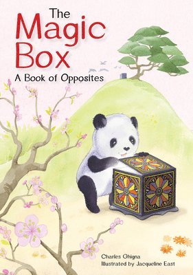 Charles Ghigna - Magic Box, Inbunden