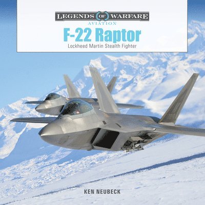F-22 Raptor 1