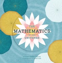 bokomslag Mathematics of the Universe