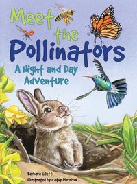 bokomslag Meet the Pollinators: A Night and Day Adventure