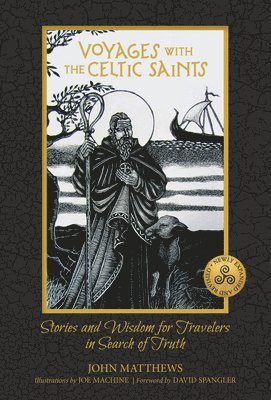 bokomslag Voyages with the Celtic Saints