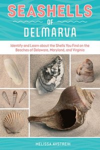 bokomslag Seashells of Delmarva