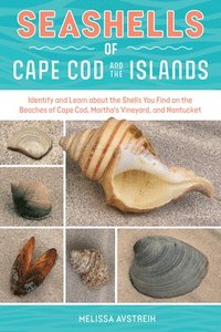 bokomslag Seashells of Cape Cod & the Islands