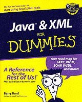 bokomslag Java and xml for dummies