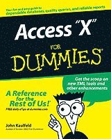 Access 2003 for Dummies