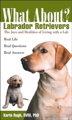 bokomslag What about Labrador Retrievers?