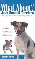 bokomslag What about Jack Russell Terriers?