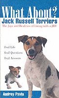 What about Jack Russell Terriers? 1