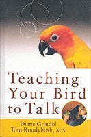 Teaching Your Bird to Talk 1