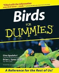 bokomslag Birds For Dummies