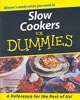 bokomslag Slow Cookers For Dummies