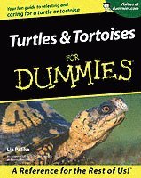 bokomslag Turtles and Tortoises For Dummies