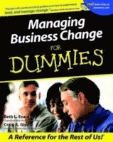 bokomslag Managing Business Change For Dummies