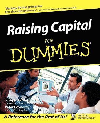 Raising Capital For Dummies 1