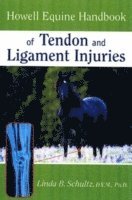 bokomslag Howell Equine Handbook of Tendon and Ligament Injuries