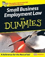 bokomslag Small business employment law for dummies
