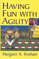 bokomslag Having Fun with Agility without Competition
