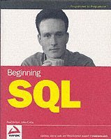bokomslag Beginning SQL