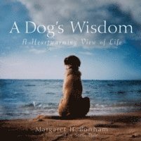 Dog's Wisdom
