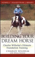 bokomslag Building Your Dream Horse