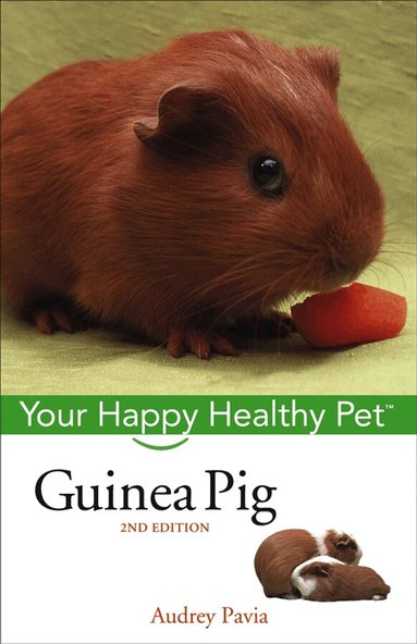 Audrey Pavia - Guinea Pig, Inbunden