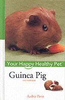 bokomslag Guinea Pig