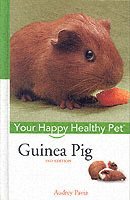 bokomslag Guinea Pig: Your Happy Healthy Pet