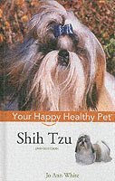 Shih Tzu
