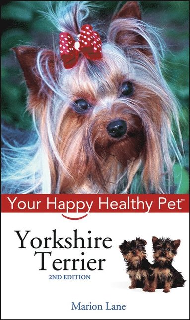 bokomslag Yorkshire Terrier