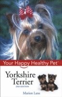 Yorkshire Terrier 1