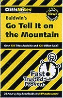 bokomslag CliffsNotes on Baldwin's Go Tell It on the Mountain