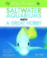 bokomslag Saltwater Aquariums Make a Great Hobby