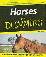 Horses For Dummies 1