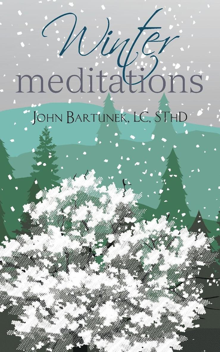 Winter Meditations 1