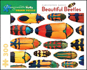 bokomslag Beautiful Beetles