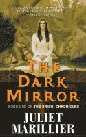 bokomslag The Dark Mirror: Book One of the Bridei Chronicles