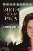 bokomslag Weregirls: Birth of the Pack